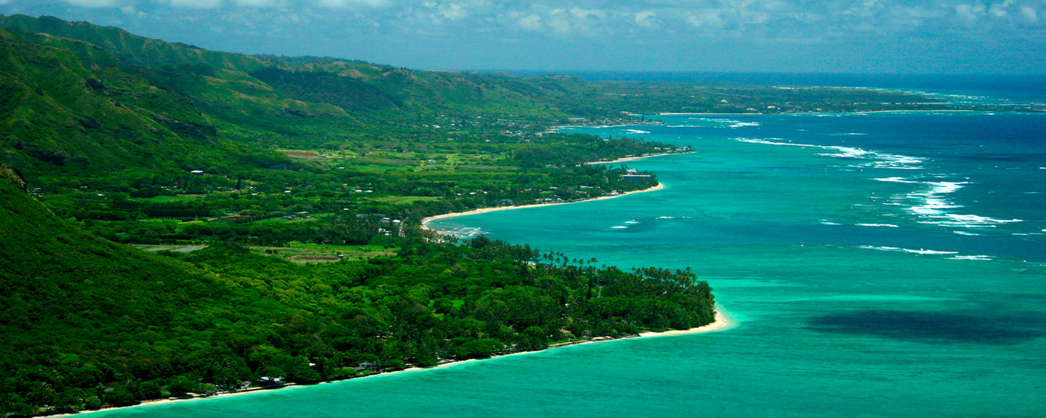 Contact DISCIPLINARY BOARD